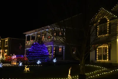 DSC_6732 (Large).JPG